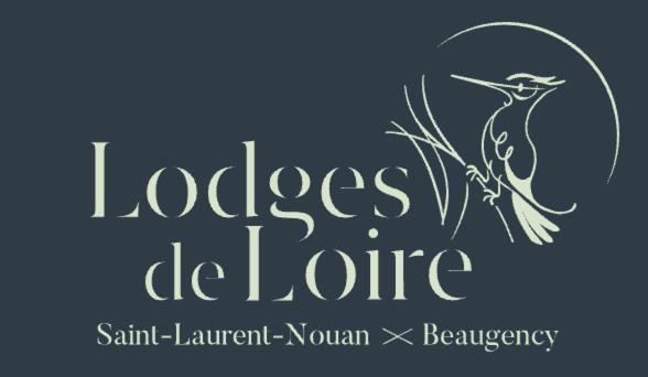 Lodge De Loire - B & B Proche Chambord Saint-Laurent-Nouan Eksteriør billede